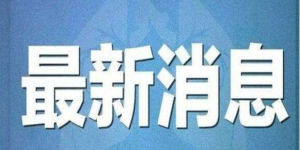 【金瑞龙】致出借人的一封信