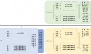 治沙功臣—沙蒿在健康食品领域再次展现其独特魅力