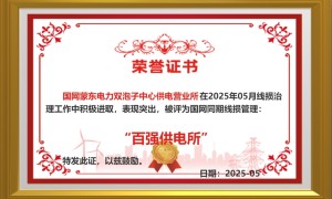 国网新城区供电公司双泡子中心供电营业所5次斩获国家电网公司线损“百强所”称号